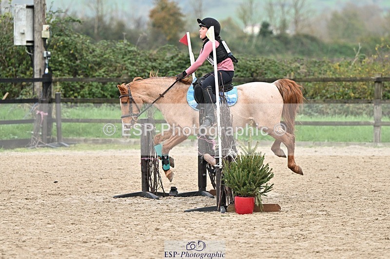 241110-122016-00660 - 50-55cm Arena Eventing
