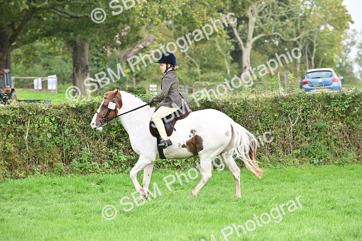 SBM_43045 - S12 - Family Horse & Pony