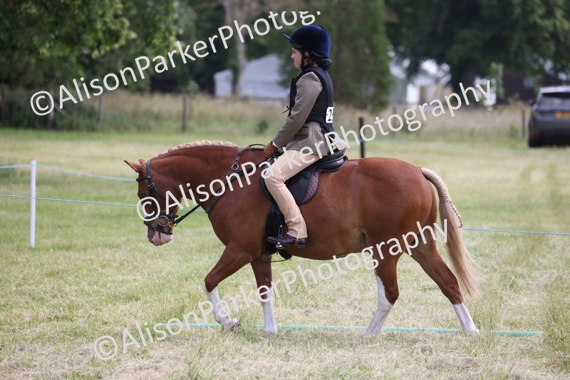 20260614-2108 - Class 21 - Novice Working Hunter Pony