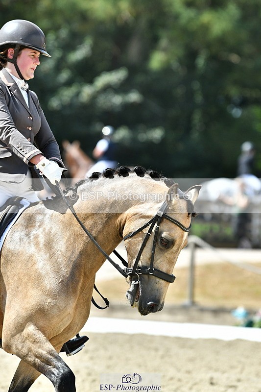 260801A-115926-03767 - Prelim SIlver Break - End