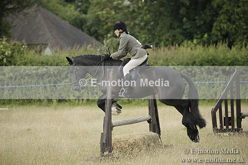 B230619-0163 - Bourne Valley Riding Club Summer Show 23/06/19