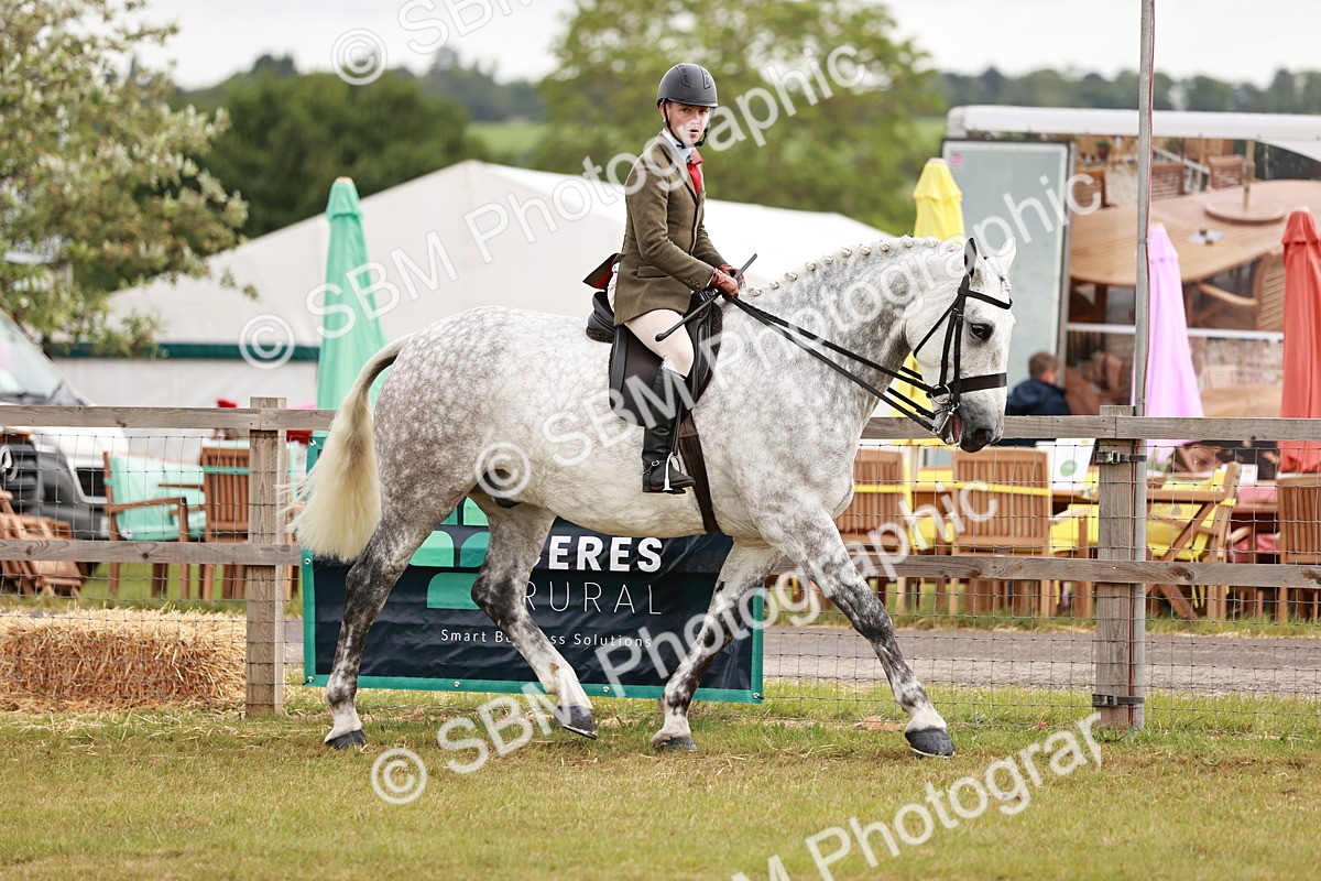SBM_10905 - Class 81-84 - RIHS Ridden hunters Inc Ladies Hunter