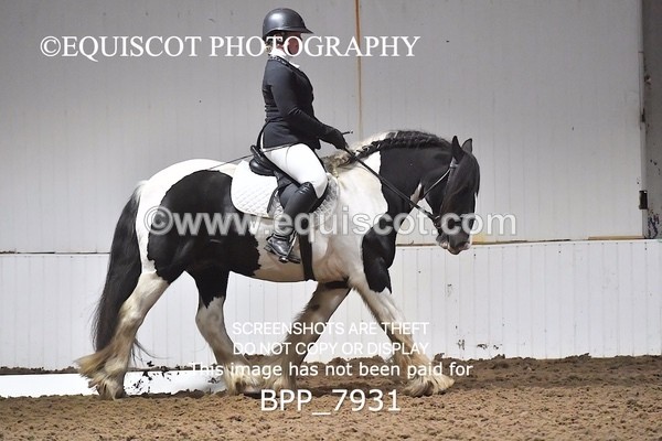 BPP_7931 - INTRO TEST 3