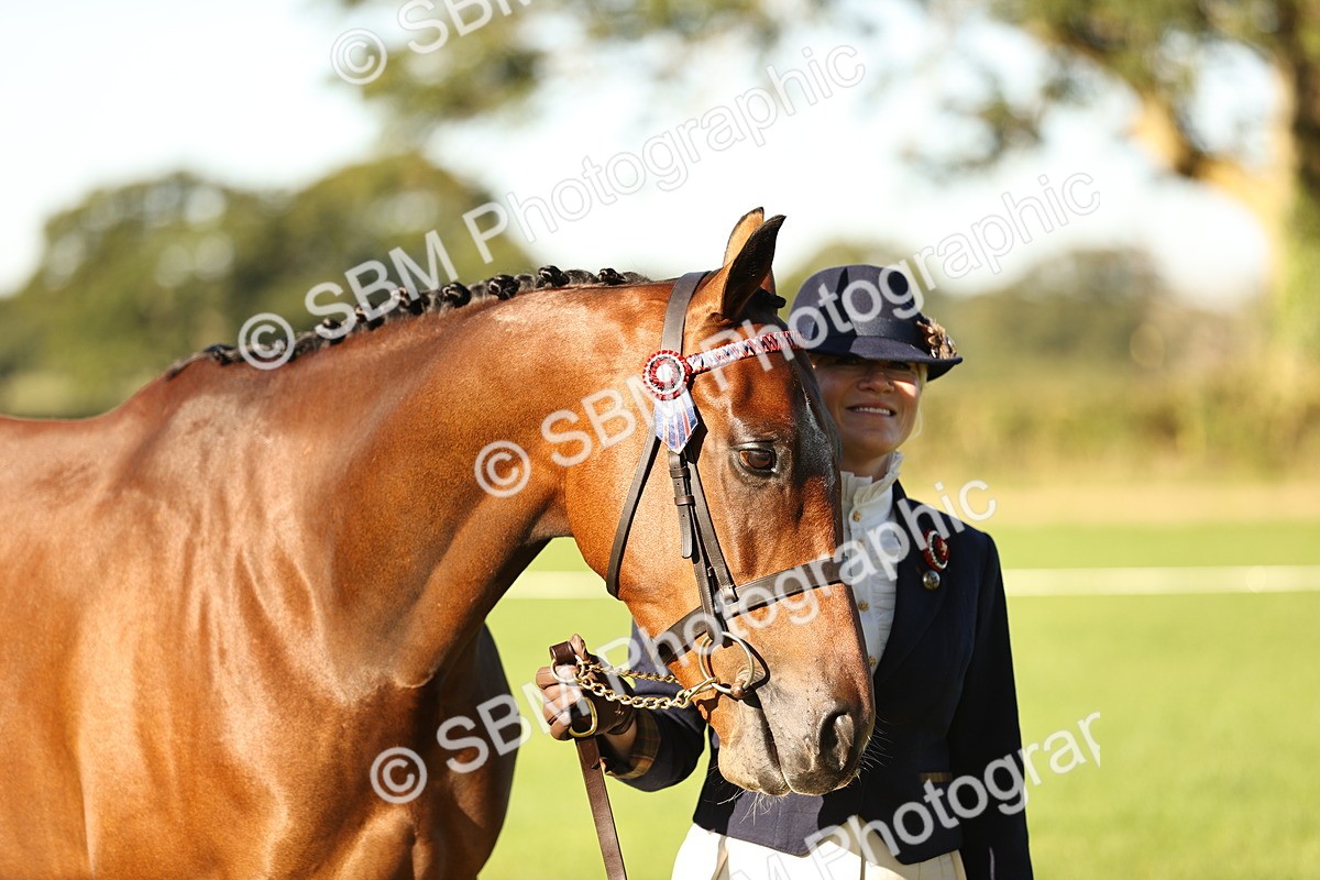 SBM_15725 - S1 - TSR in Hand Horse & Pony Showing