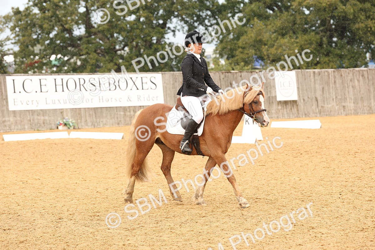SBM_40582 - D6 - Small Tour Championship Intro 4