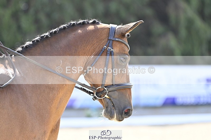 250810A-105003-04975 - 005-Katie.EdwardsBurnt.House.Lane.Wizby