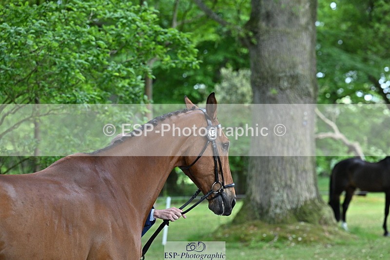 250521A-155215-00812 - B-375-Lucas.Poole-GERDEAKER