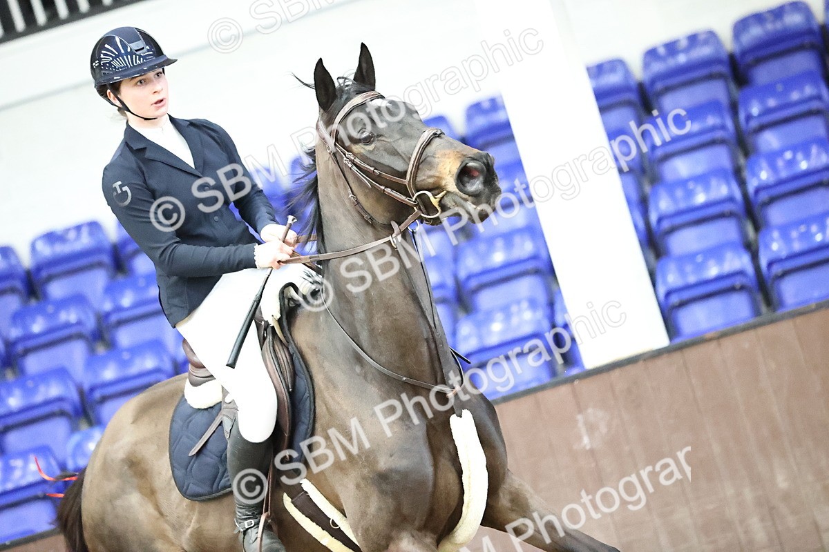 SBM_006047 - Class 16 - Senior Newcomers - 1.10m Open