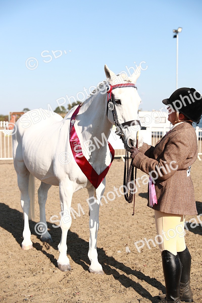 SBM_00140 - Class 40 Best Turned Out IH