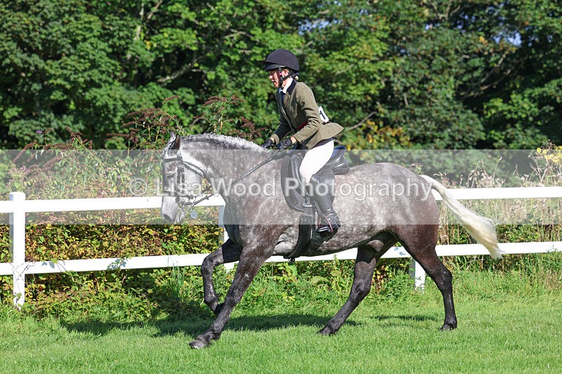 3E7A7856 - Class 2: Open Working Hunter pony