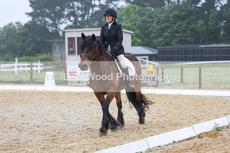 3E7A8453 - Class 2: Intro 3 2024 section B