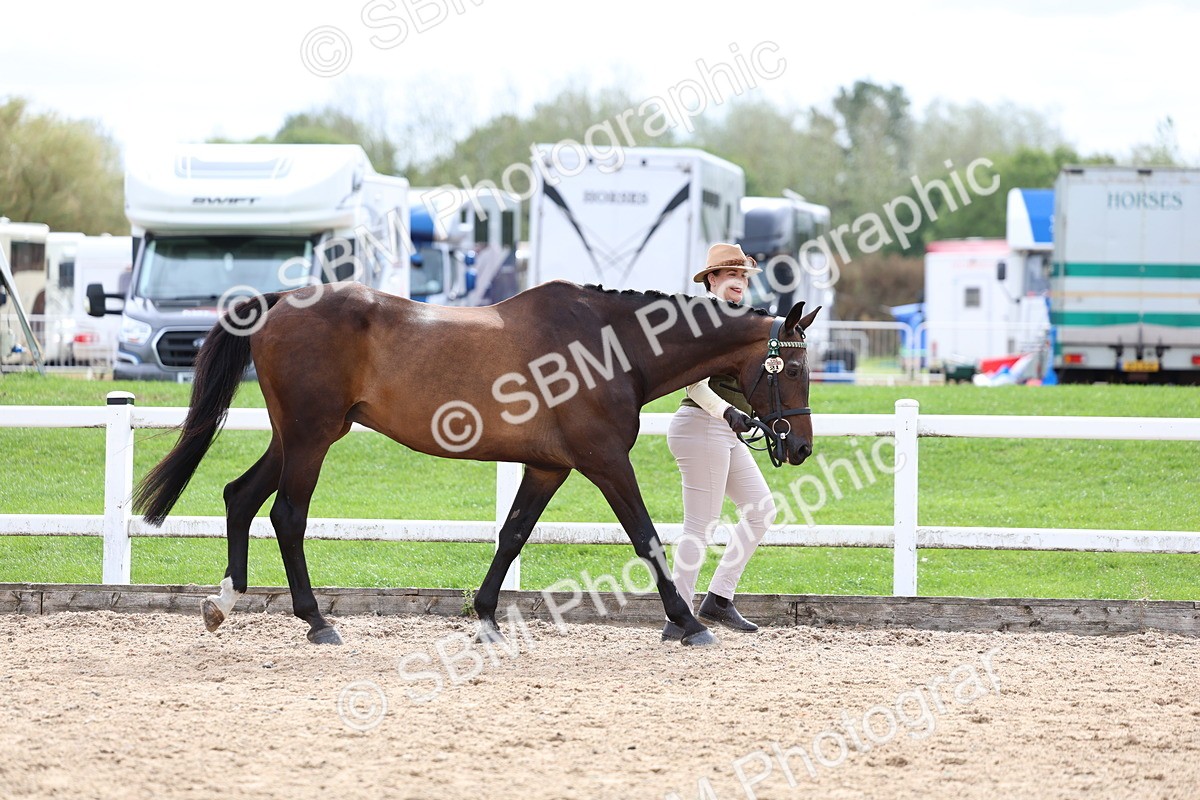 SBM_03889 - Class 25 - IH Foreign Breeds - Pure Bred