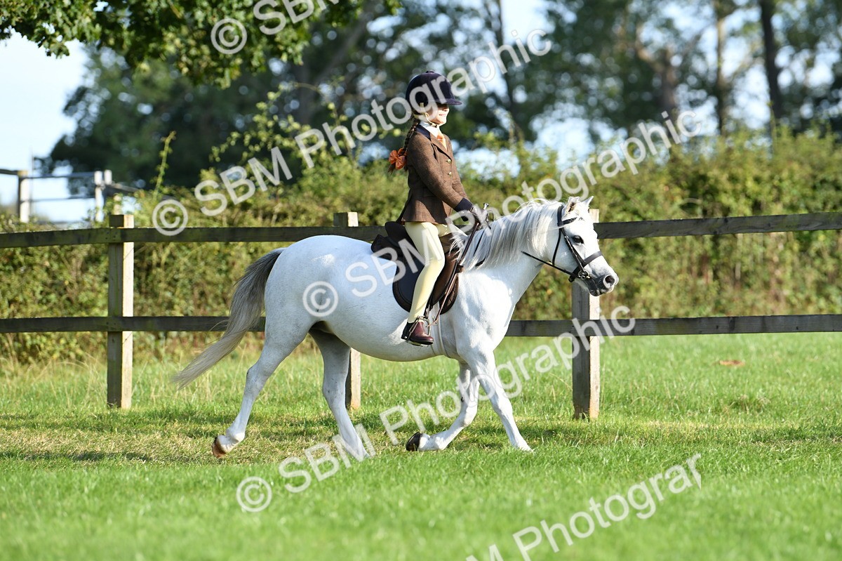 SBM_53977 - S23 - 1st Ridden Mountain & Moorland Pony