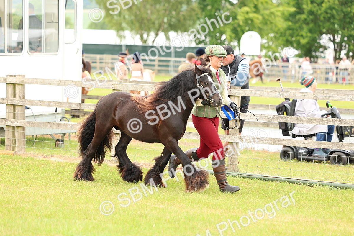 SBM_06276 - Class 39-41 TGCA In Hand and Ridden