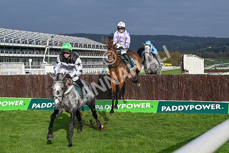 151124-Race 2-Springwell Bay-7405 - Race 2