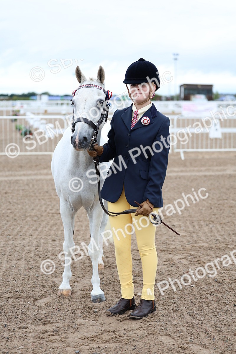 SBM_00252 - Class 13 - Young Handler