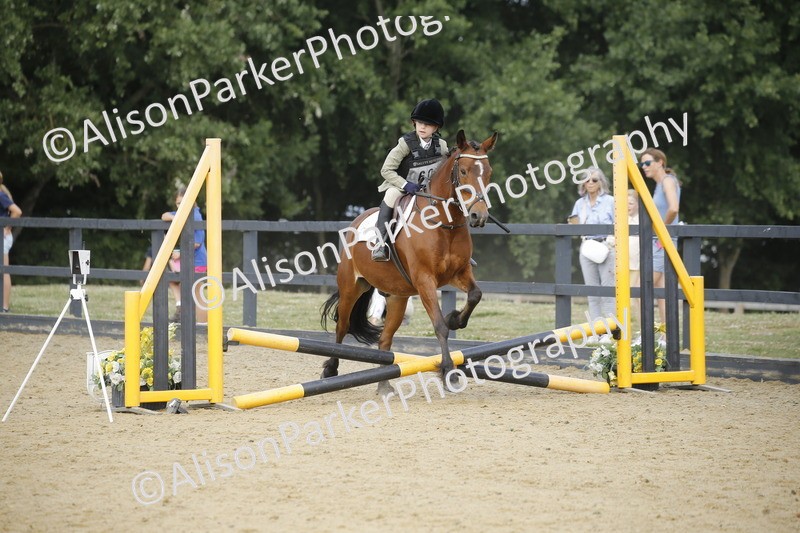 20250622-3589 - 50cm