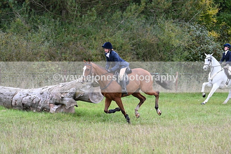 WJ7_3633 - Camera 1 Line 1