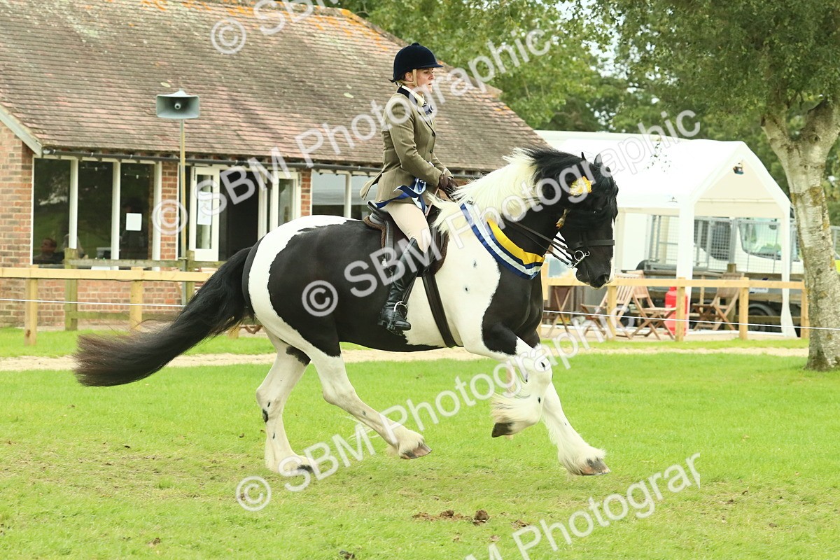 SBM_75164 - Super Supreme Championship