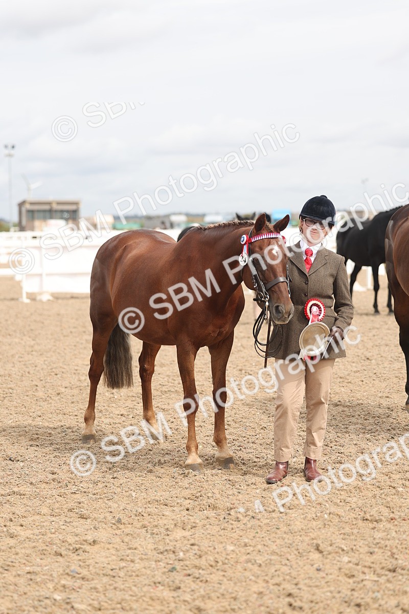 SBM_05036 - Class 20 - IH Veteran