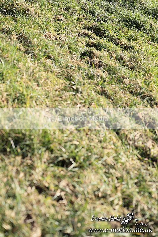 PR 010325 86 - Pony Racing from Beaufort Races Didmarton 01/03/25