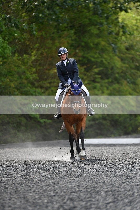 WJ5_0295 - Time 12:24 to 13:01