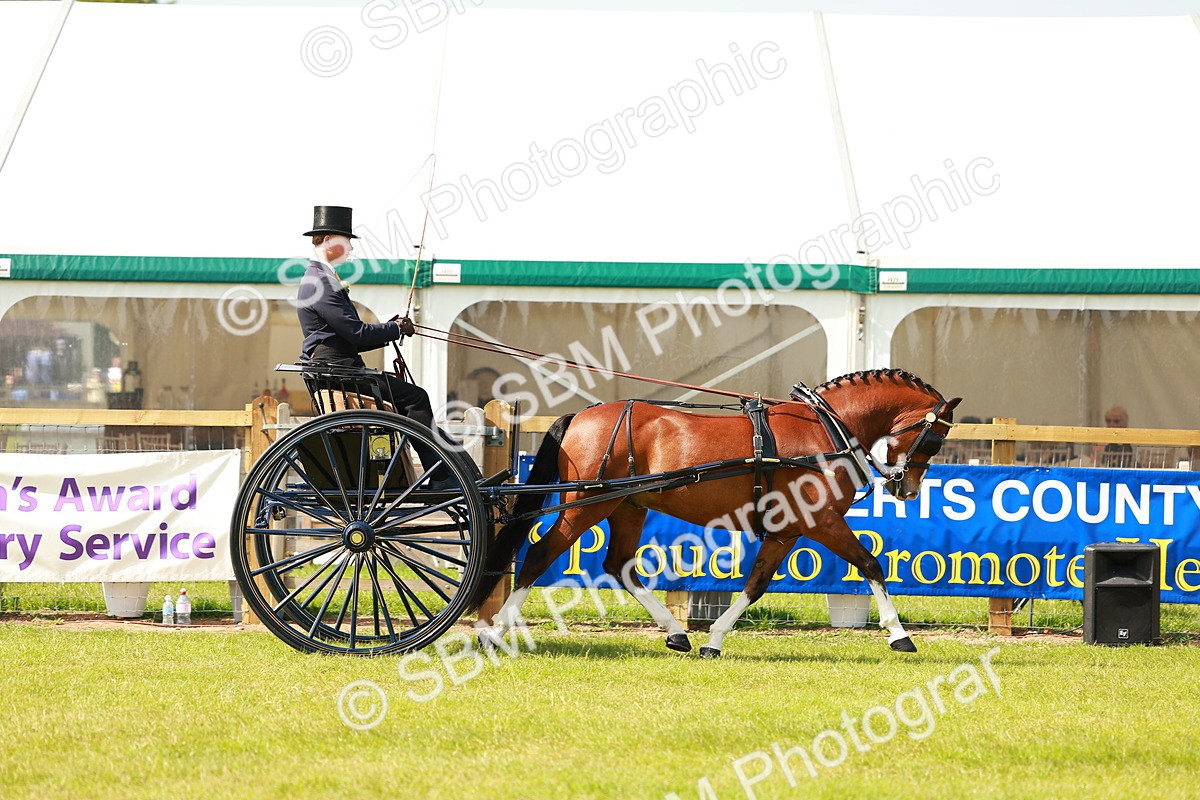SBM_02731 - Class 2-4 - HOYS Private Driving