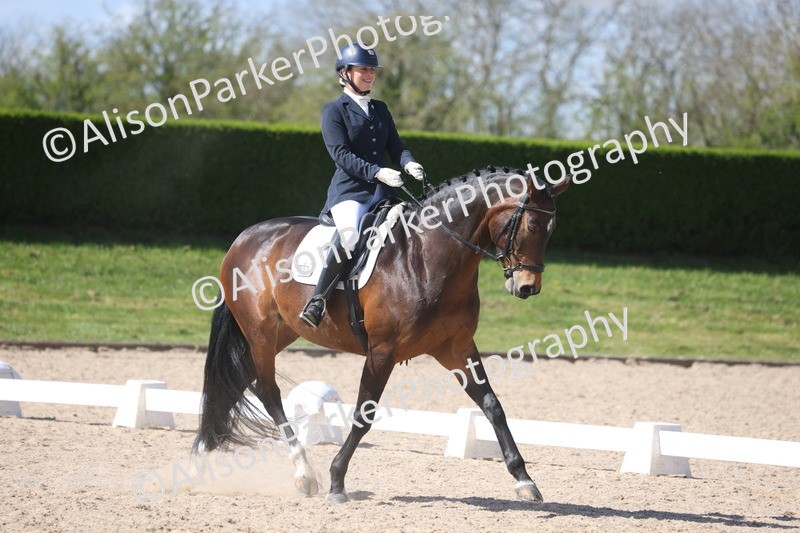 20260405-0585 - Class 7 - Medium 5