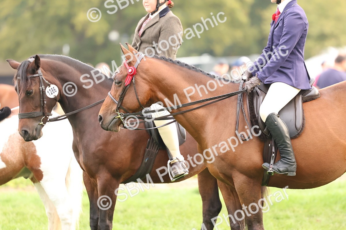 SBM_56665 - S40 - Starters Ridden Showing