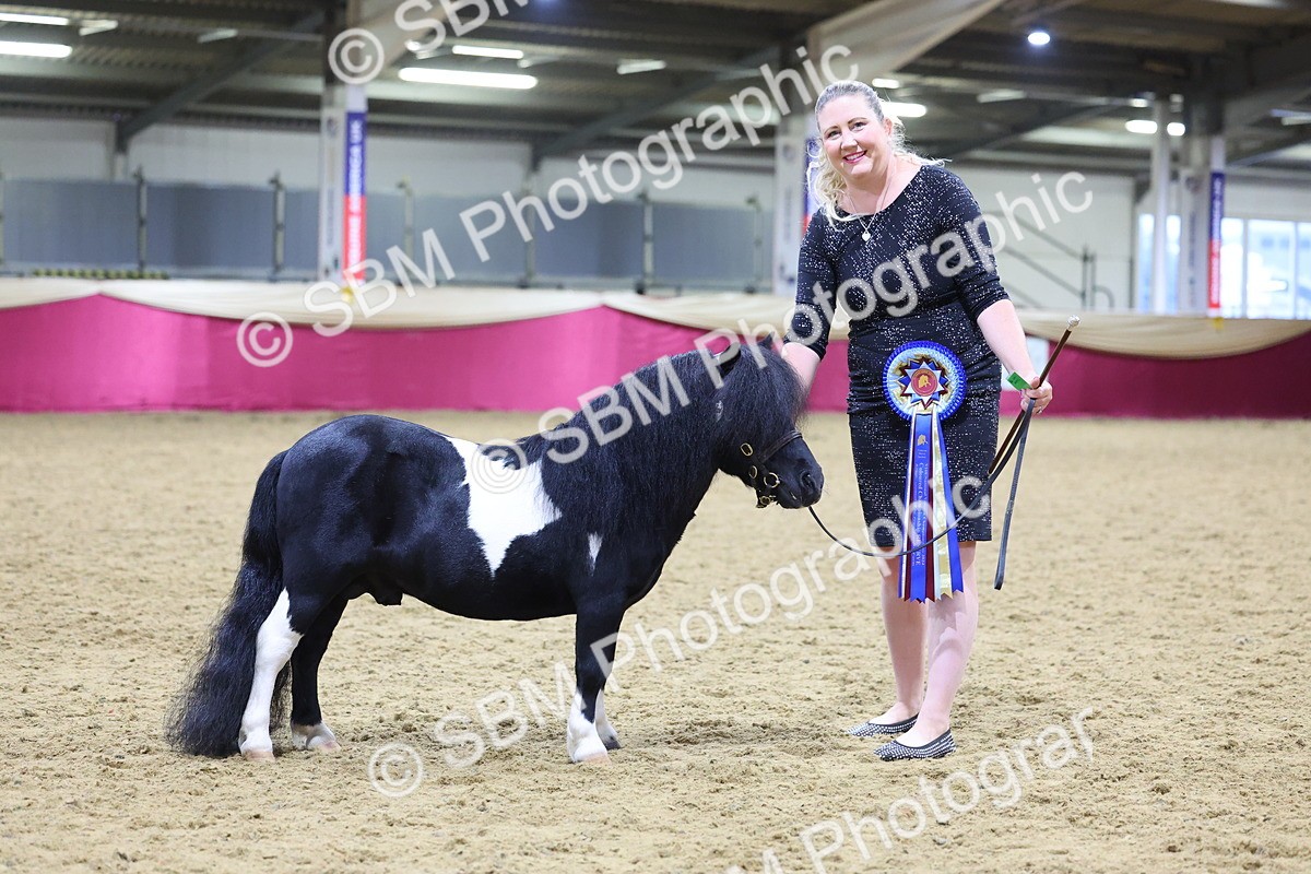 SBM_19238 - Class J Coloured Champ