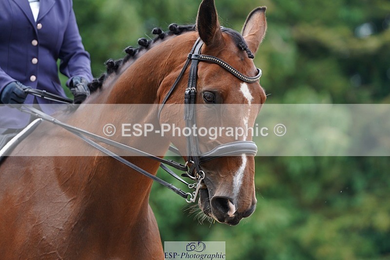 240721-103024-07615 - 193-Sally_Burchell-Tobiastar