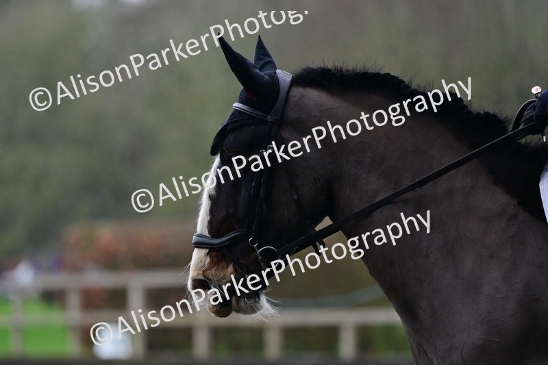 20260125-3804 - Class 12 - Novice