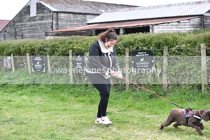 WJ5_0059 - Class 5 Best Veteran / 7 years & over