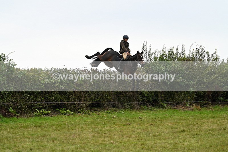 WJ7_4134 - Camera 1 Line 2