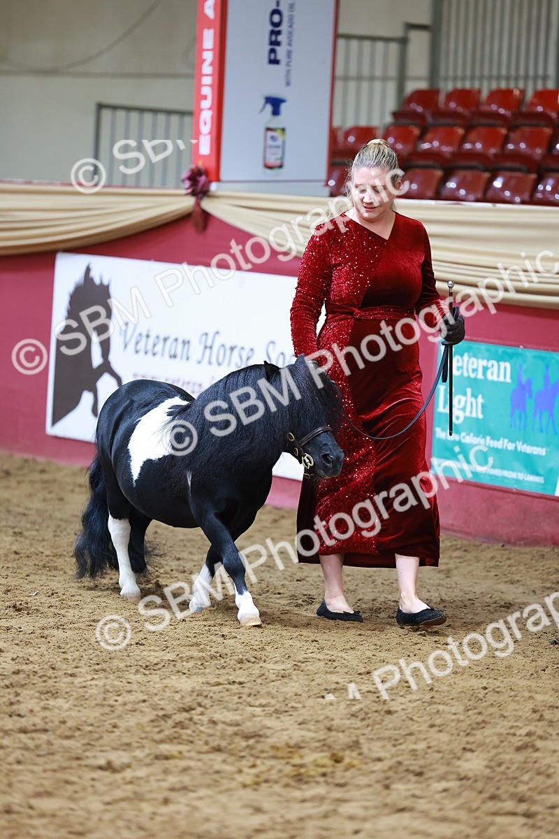 SBM_18563 - Class 903 - Sup Final - IH Pre Vet