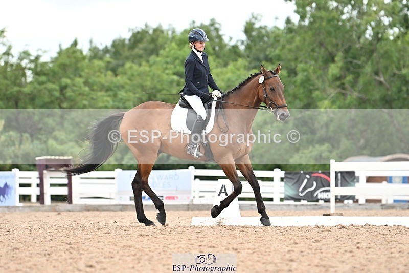 250705-175535-04274 - N2 Section BDNOV2 16.29 to 17.46