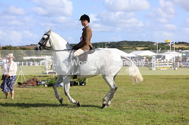 3E7A4016 - Supreme Championship