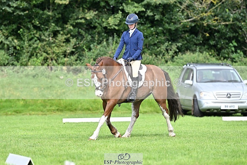 230826-100345-16344 - Sections A & B 10 to End