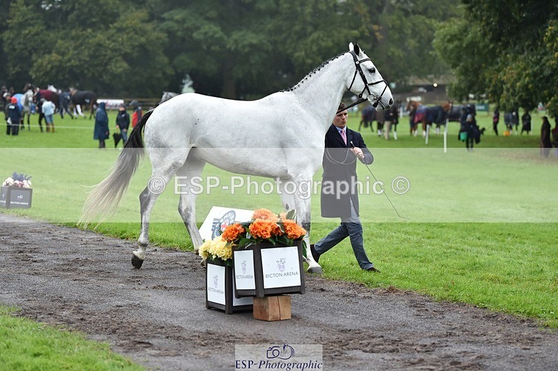 231018-121842-00199 - 027-IE.MR.MCGREGOR-Will.Furlong-TrotUp