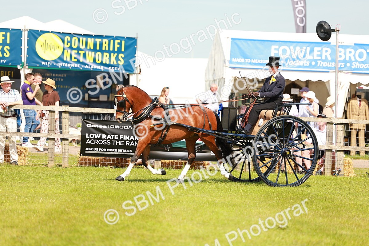 SBM_02877 - Class 2-4 - HOYS Private Driving