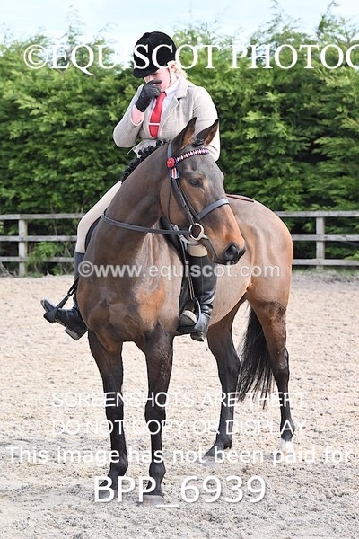 BPP_6939 - RING 1  (RIDDEN HORSES / IN HAND / VETERAN ETC)