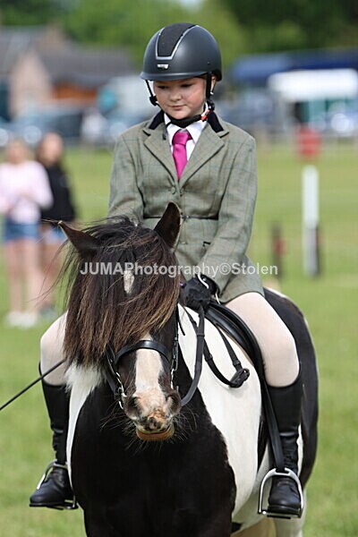 IMG_2394 - Working Hunter
