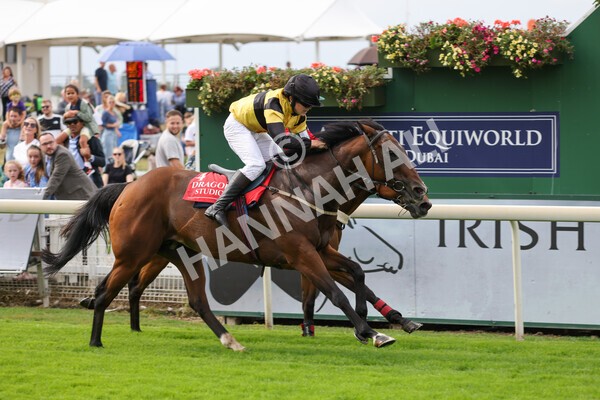 yr04092022p1-48 - 12.30pm 148cm Conditions Pony Race