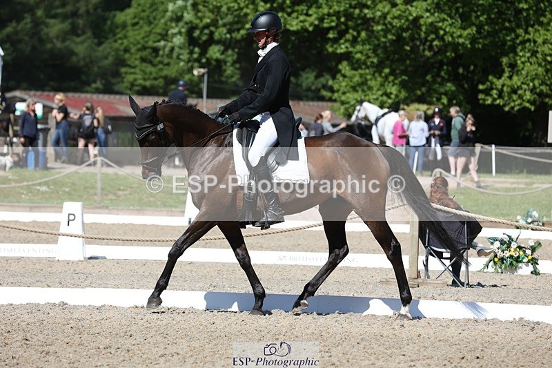 230526-102434-05253 - 361-FINCH_FANCY-Ben_Lee_Liles-WEDTrotUp+DR