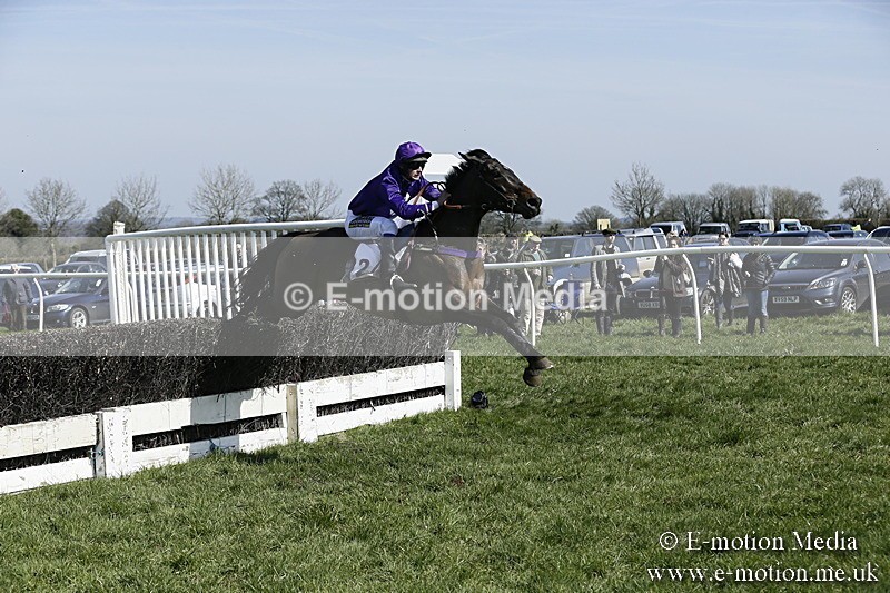 PtP 260317 59 - Mendip Farmers Point-to-Point Ston Easton 26/03/17