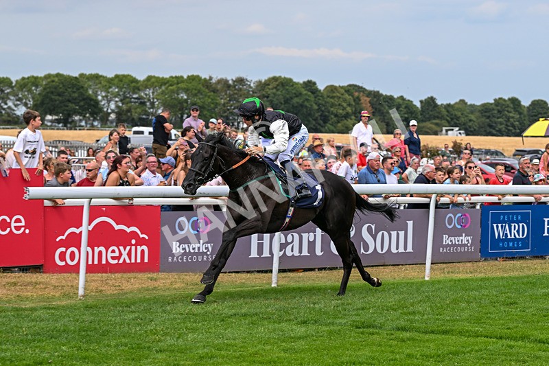 280726-Race 3-Black Velvet Boy-0676 - Race 3 14.45pm EBF Restricted Maiden Stakes