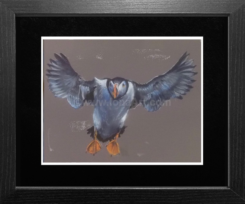 Shaky Landing - Widlife/Nature