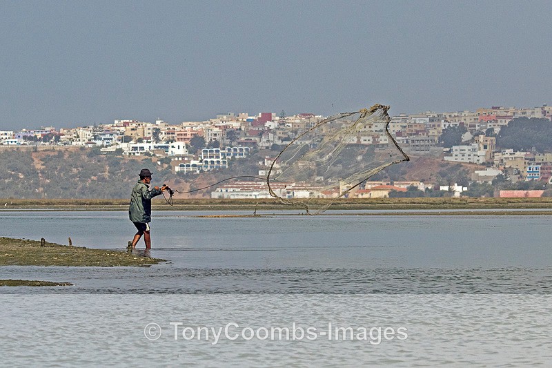 Fisherman - Morocco