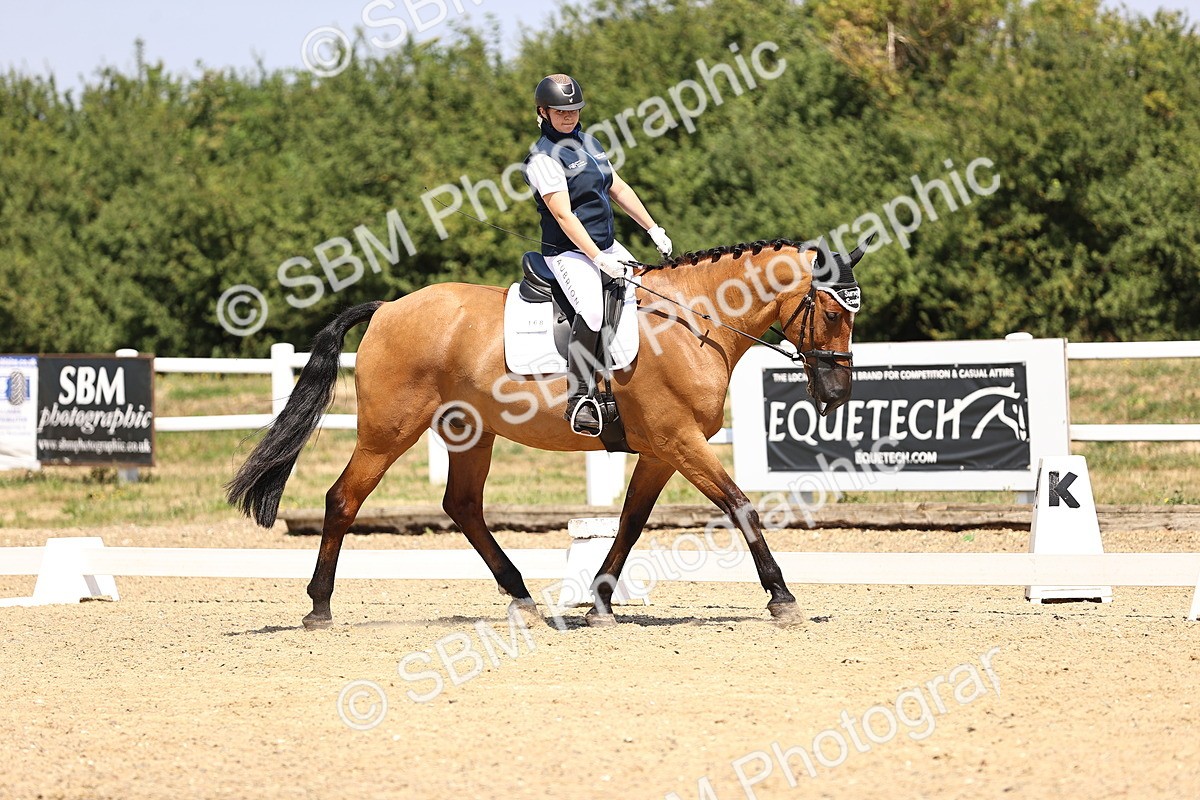 SBM_003981 - Intro 2