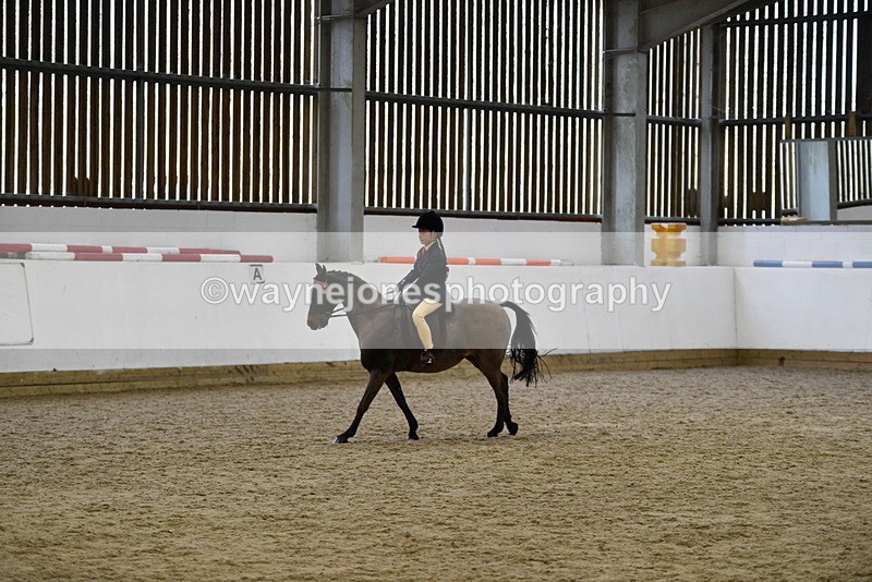 WJ5_6956 - Class 10 Childs Pony